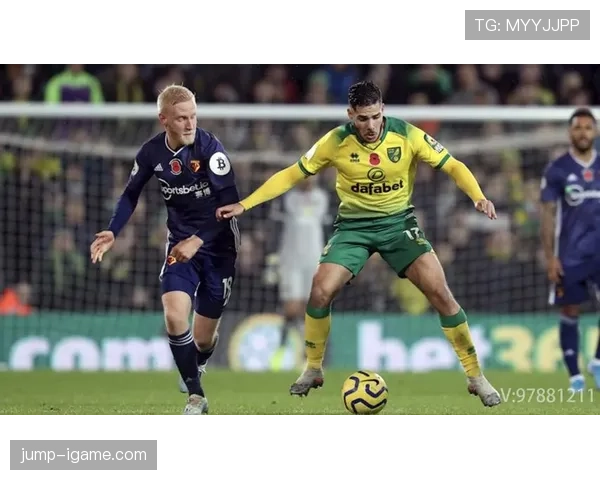 诺维奇金丝雀本赛季状态回暖竞争力增强